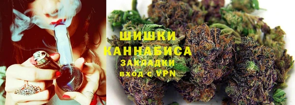 стаф Медногорск