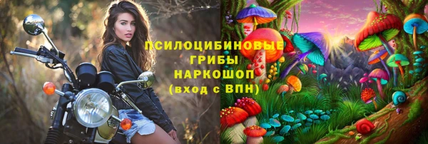 прущий лед Арсеньев