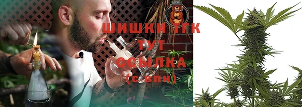 прущий лед Арсеньев