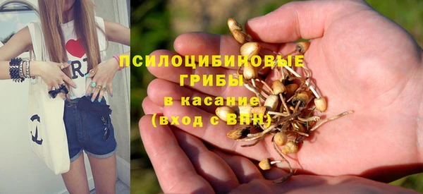 эйфоретик Аркадак